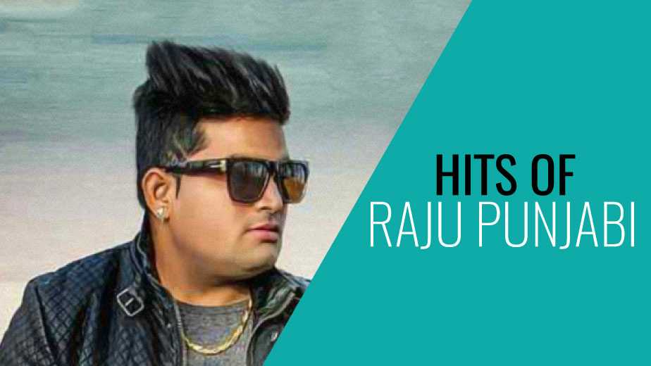 Hits of Raju Punjabi