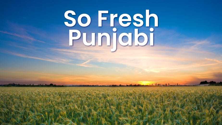 So Fresh  Punjabi